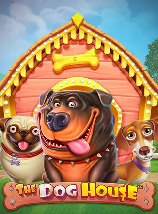 Gorilla Gold, nouveauté sur Betify